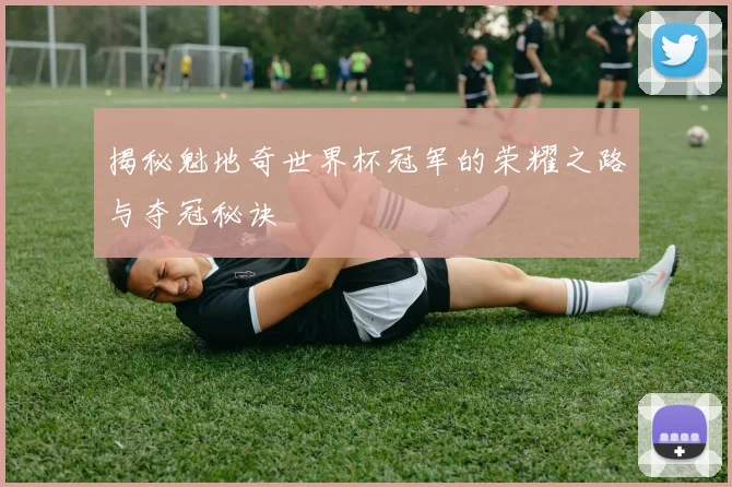 揭秘魁地奇世界杯冠军的荣耀之路与夺冠秘诀
