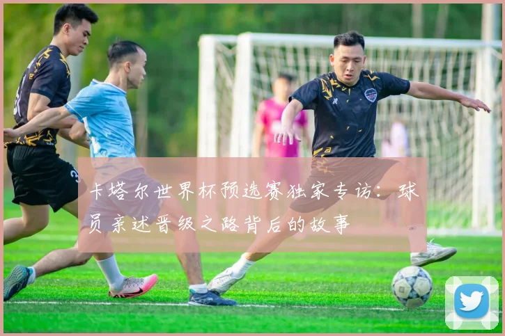 卡塔尔世界杯预选赛独家专访：球员亲述晋级之路背后的故事
