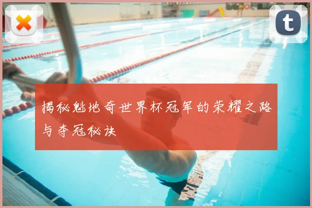 揭秘魁地奇世界杯冠军的荣耀之路与夺冠秘诀