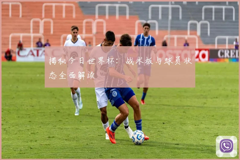 揭秘今日世界杯：战术板与球员状态全面解读