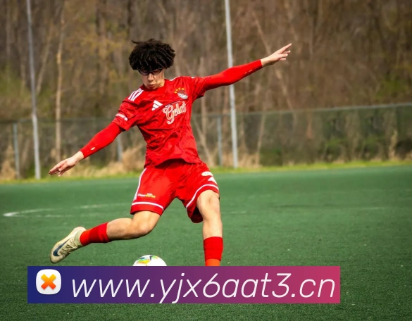 letou最新官网APP 封面图